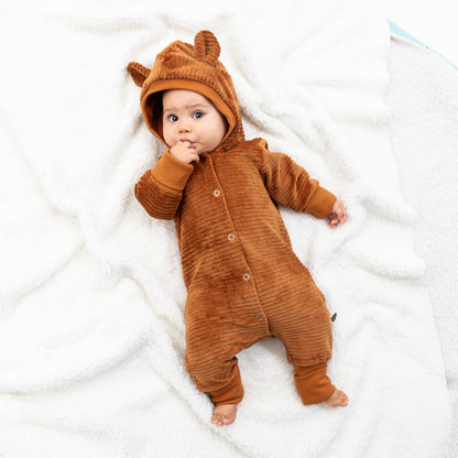 combinaison evolutive renard