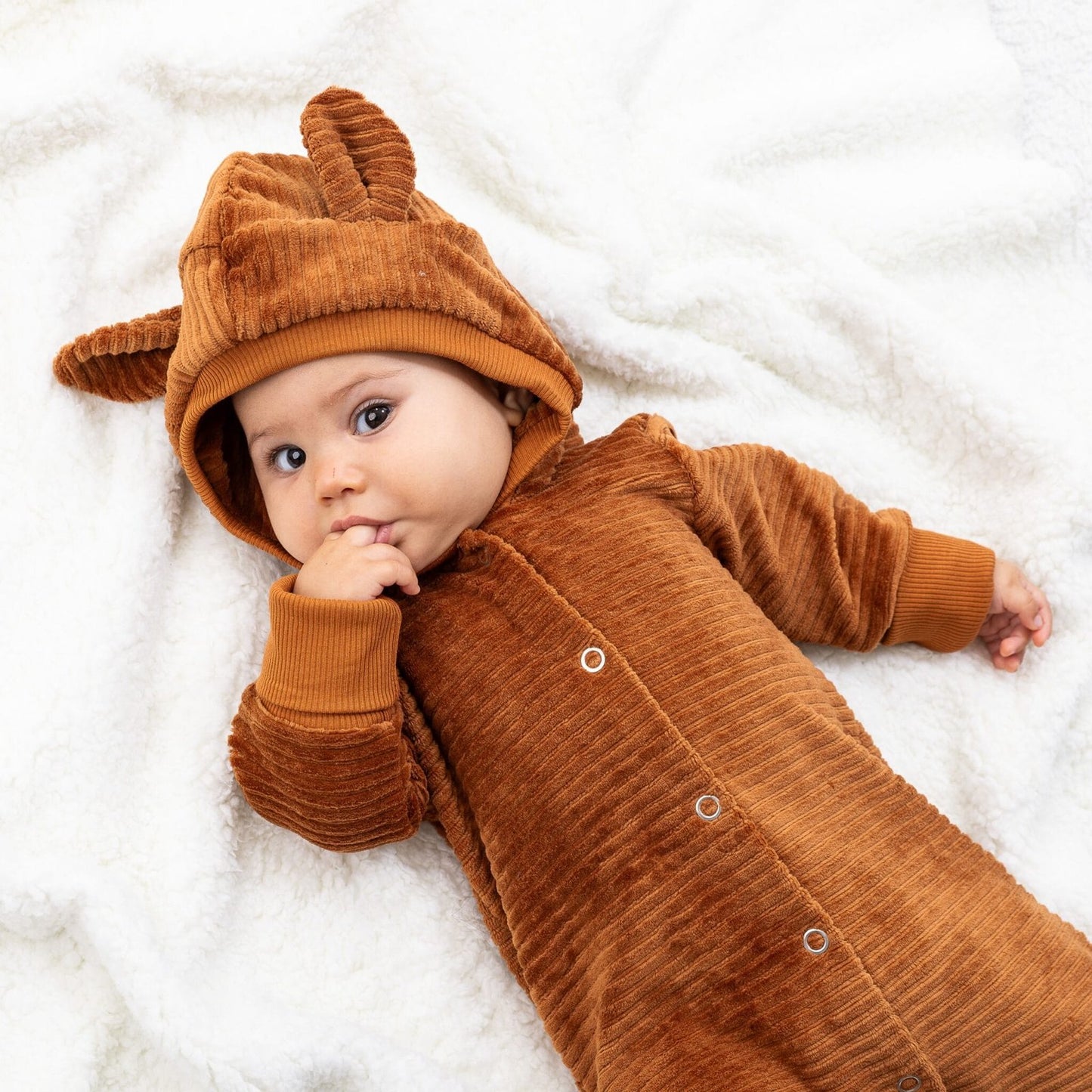 Combinaison évolutive Renard Cannelle