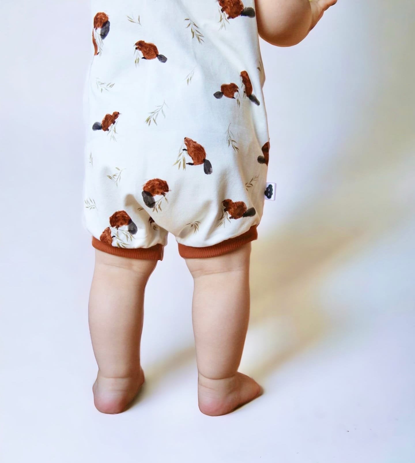 Barbobloomer évolutif Castors